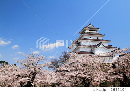 春の鶴ヶ城 2655194