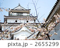 会津鶴ケ城の春 2655299