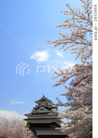 春の上山城 2655669