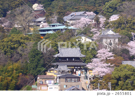 金刀比羅宮大門から宝物館.高橋由一館.社務所.書院までの文化ゾーン 2655801