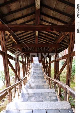 高台寺　臥龍廊 2655860