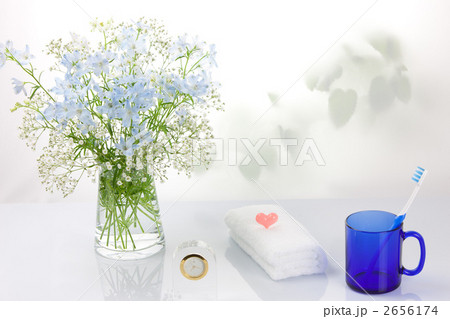 さわやかな朝 2656174