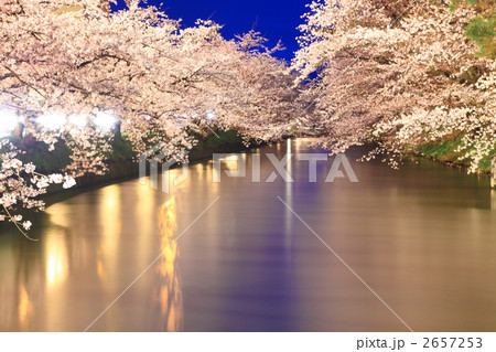 水辺の夜桜 - 弘前公園2011 2657253