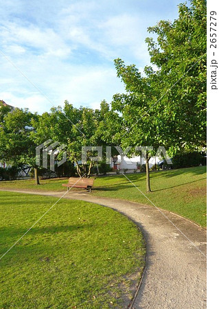 芝生の中の小道 2657279