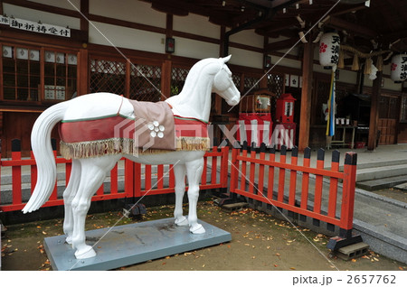 京都　吉祥院天満宮　神馬、白馬 2657762