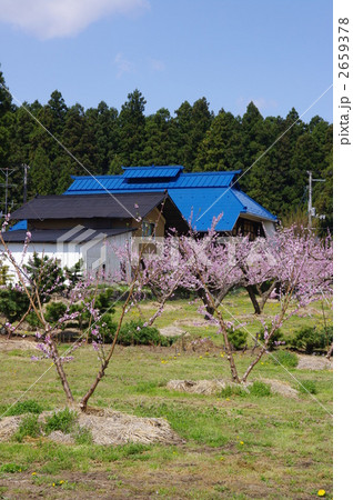 春の農村風景 2659378