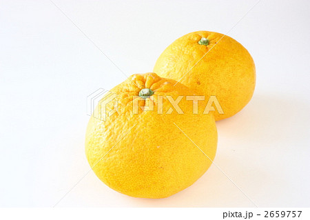 はっさく はっさく 2659757