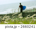 湘南 2660241