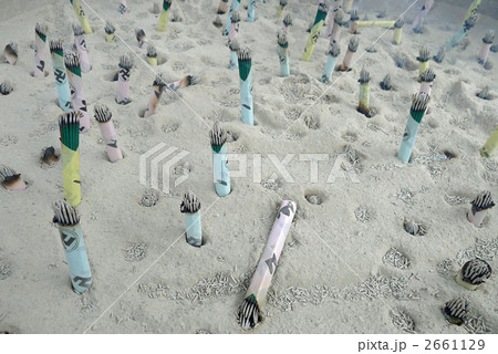 お線香 お線香 2661129