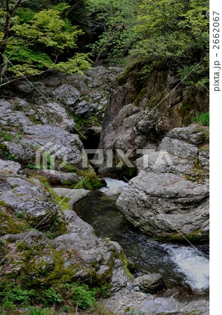 仙波渓谷 2662067