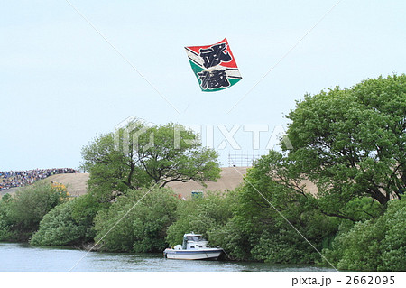 春日部の大凧祭り 2662095