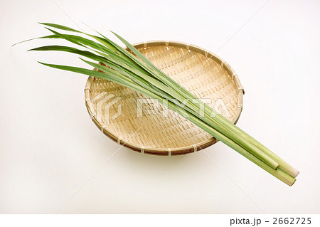 菖蒲の葉 菖蒲の葉 2662725