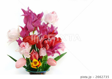 チューリップの花束 2662735