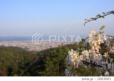 京都市の昼景 京都市の昼景 2663665
