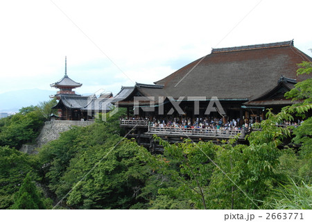 国宝･「清水の舞台(右)」と「三重塔(左)」（清水寺／京都市東山区清水） 2663771