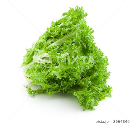 サラダレタス 2664846