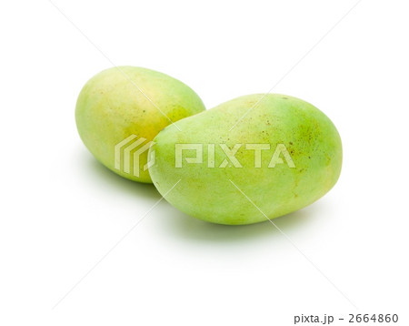 マンゴー 2664860