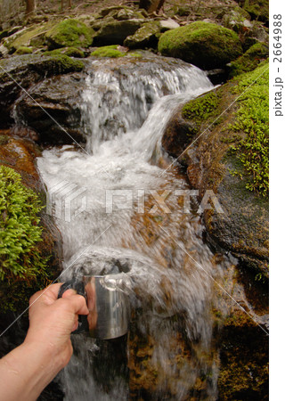 湧水地から流れ出す水をカップで汲むの写真素材 [2664988] - PIXTA