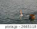 2665118
