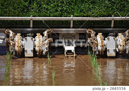 田植え機 2665556