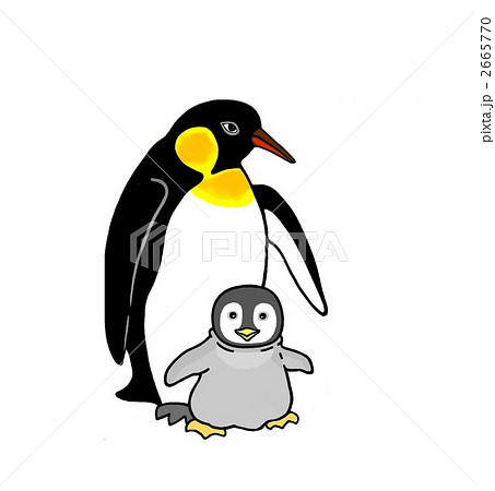 皇帝ペンギンの親子のイラスト素材 2665770 Pixta