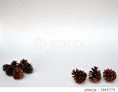 マツボックリ マツボックリ 2665774