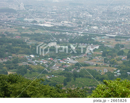 秦野市 秦野市 2665826