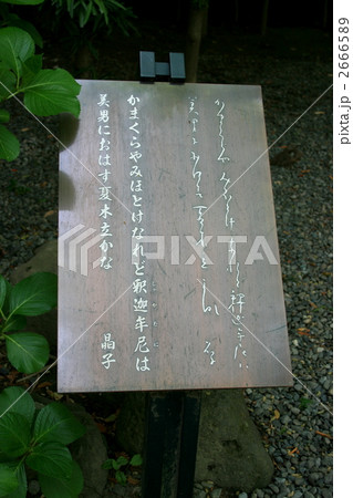 通称鎌倉大仏を本尊とする高徳院を訪れて 2666589