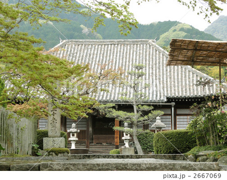 春の奥院～当麻寺～ 2667069