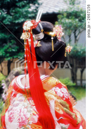 花嫁 文金高島田 色打掛尾長後ろ姿(ソフト) 花嫁 文金高島田 色打掛尾長後ろ姿(ソフト) 2667156