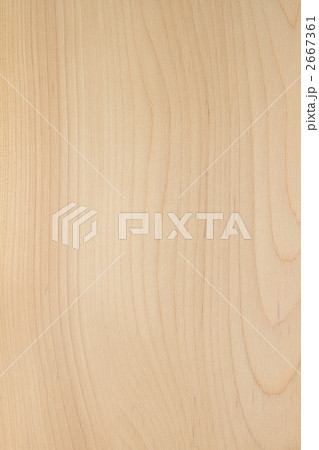 イチイ材 2667361