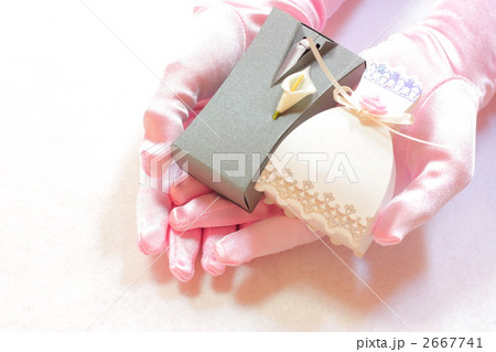 プチギフトを持つ手 2667741