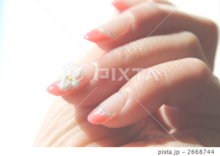 ネイル ネイル 2668744