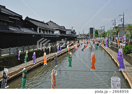 栃木散歩・鯉のぼりが飾られた巴波川 栃木散歩・鯉のぼりが飾られた巴波川 2668956