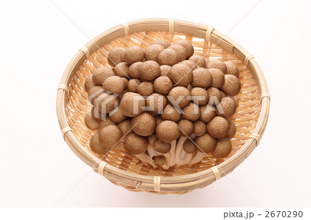 ぶなしめじ 2670290