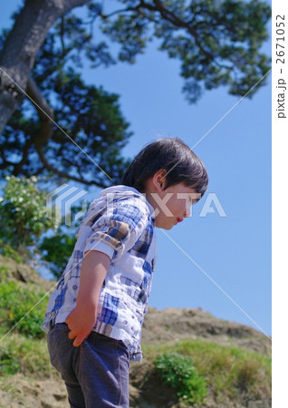 子供と松 2671052