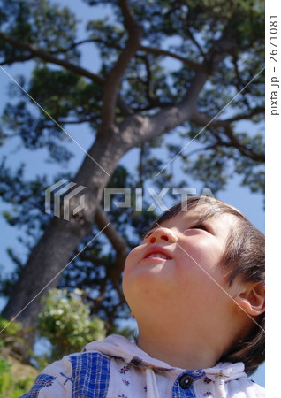 子供と松 子供と松 2671081