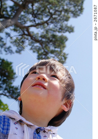 子供と松 子供と松 2671087
