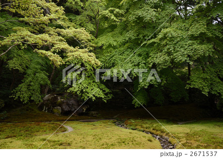 京都、瑠璃光院の新緑と瑠璃の庭 京都、瑠璃光院の新緑と瑠璃の庭 2671537