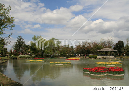 砺波チューリップ公園 2671824