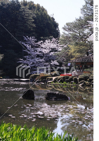 平安神宮神苑　春景 2673176