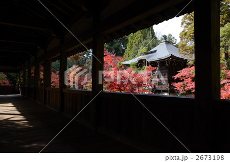 嵐山、清涼寺の回廊と弁天堂 2673198