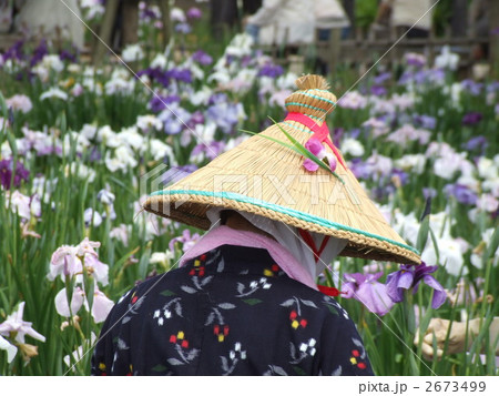 菅傘をかぶり 菅傘をかぶり 2673499