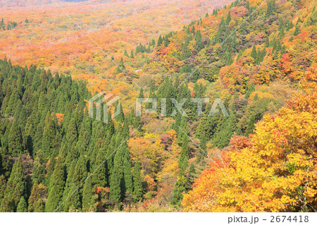 大山の紅葉 大山の紅葉 2674418
