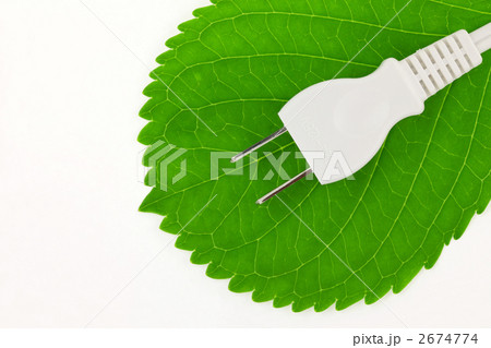 緑の葉とコンセント 2674774