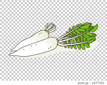 蔬菜（蘿蔔）的插圖 2677501