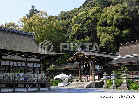 松尾大社 2677876