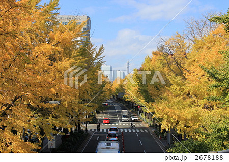 日本大通りの秋 2678188