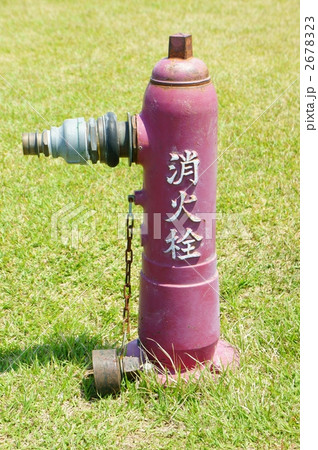 消火栓 芝生 消火栓 芝生 2678323