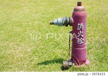 消火栓 芝生 消火栓 芝生 2678325